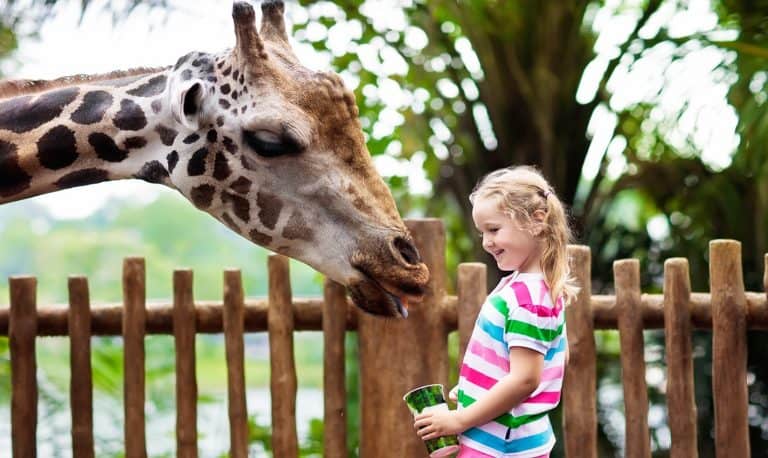 Best Vacations For Kids Under 10